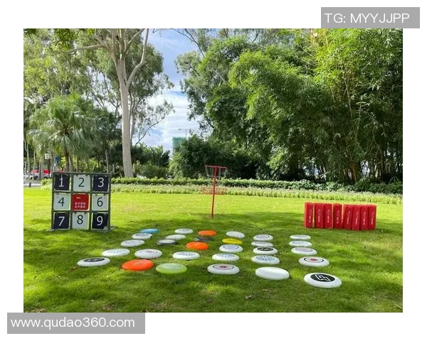 飞盘飞扬：深圳飞盘队的奋斗与成长历程全景记录